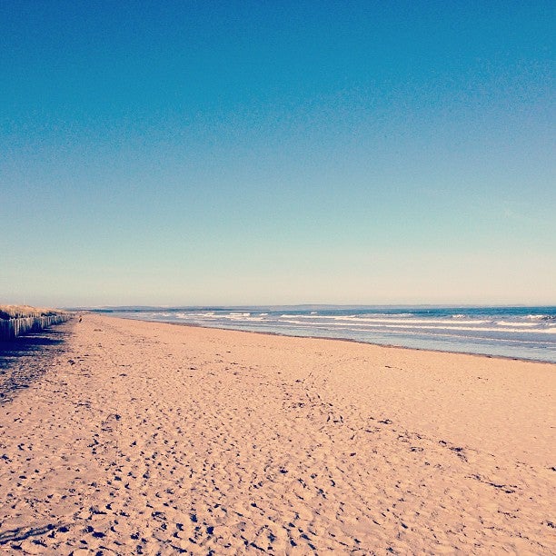 
West Sands Beach
 in St Andrews