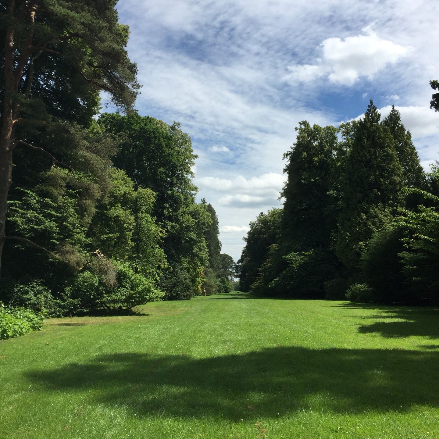 
Westonbirt Arboretum
 in Cotswolds