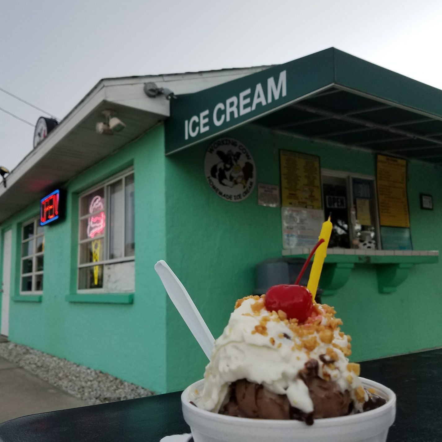 
Working Cow Ice Cream
 in Southwest Florida