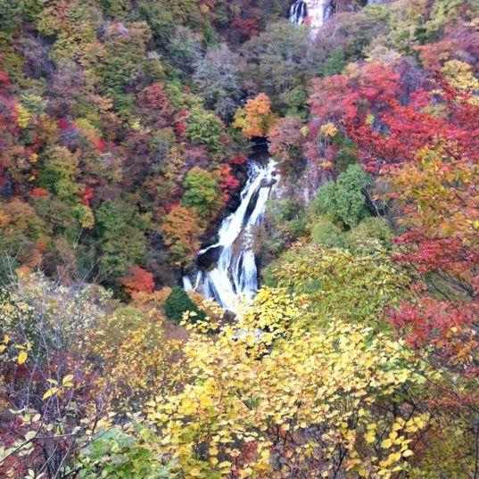 
霧降の滝
 in Nikko