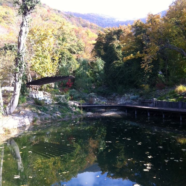 
Загородный клуб «Кордон»
 in Gelendzhik