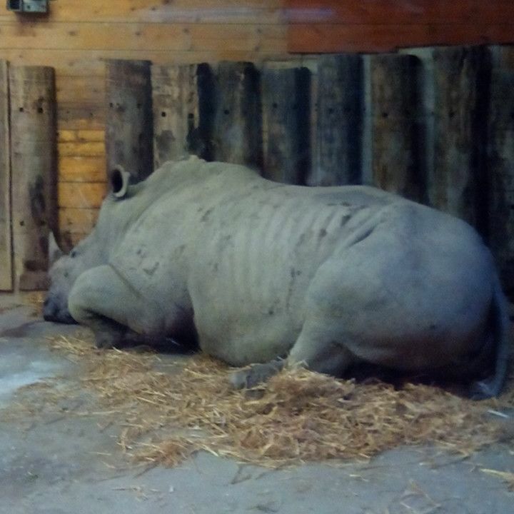 
Zoo Salzburg
 in Flachgau